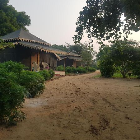 Orchard Tents & Tranquility Pushkar Exterior foto