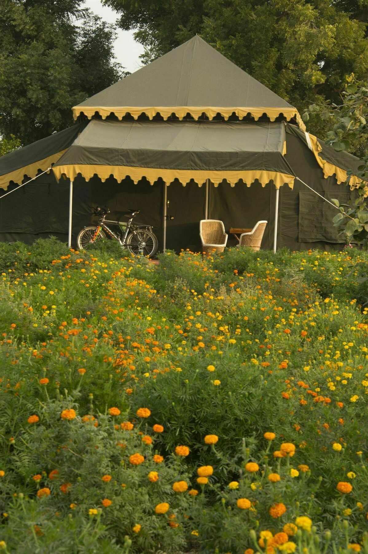 Orchard Tents & Tranquility Pushkar Exterior foto
